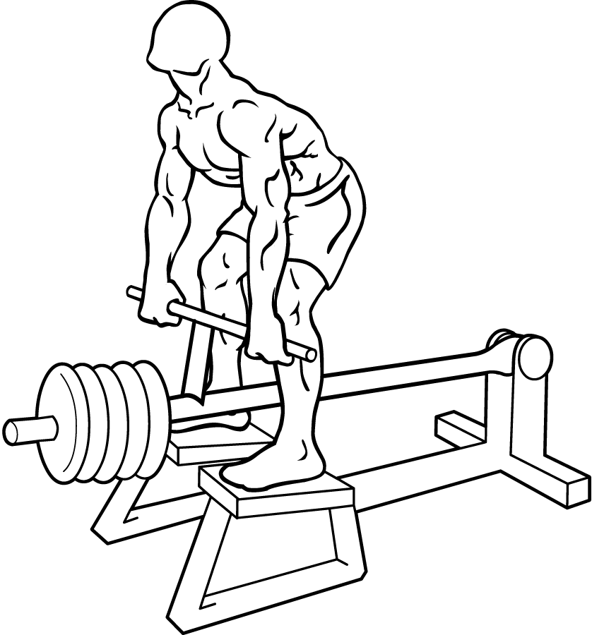 Unlocking Strength and Posture: The Ultimate Guide to T-Bar Rows 2 T-Bar Rows 1