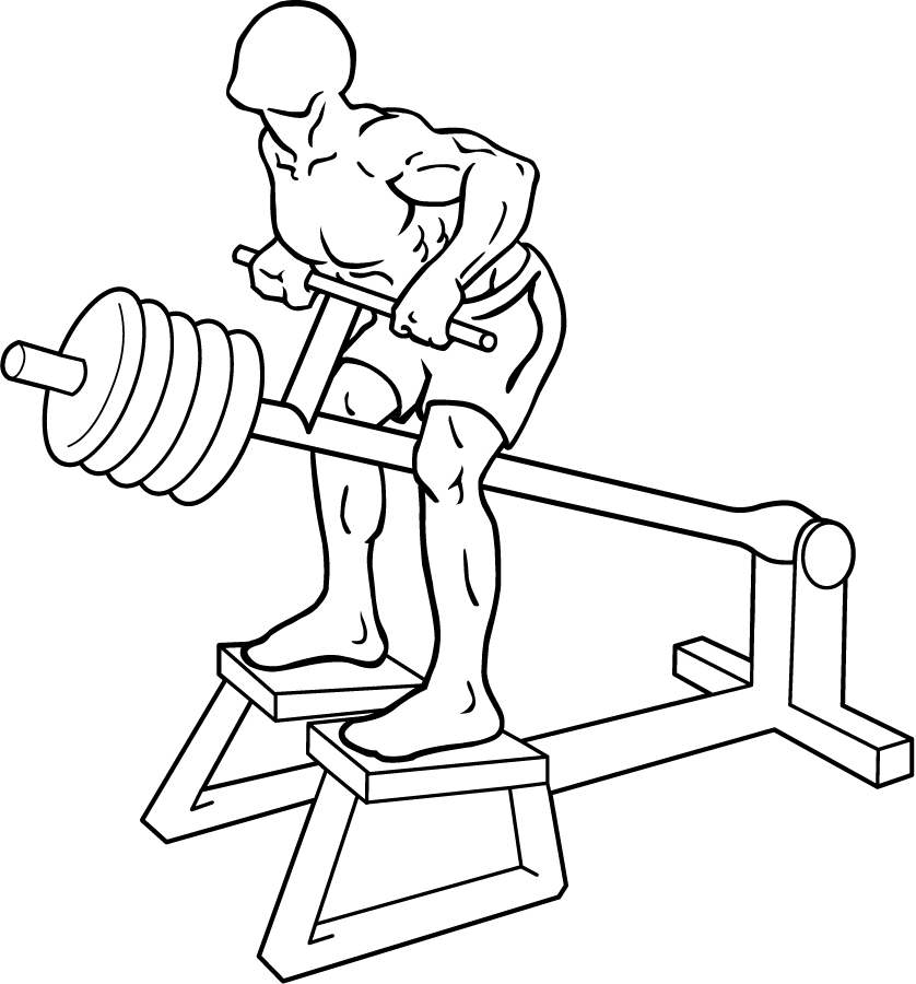 Unlocking Strength and Posture: The Ultimate Guide to T-Bar Rows 3 T-Bar Rows 2