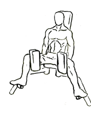 Building Balanced Legs: The Complete Guide to Thigh Adductor Exercises 4 thigh adductor 1