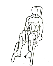 Building Balanced Legs: The Complete Guide to Thigh Adductor Exercises 5 thigh adductor 2