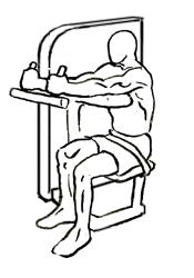 Triceps Extensions using Machine 2