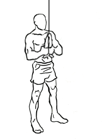 Triceps Pushdown with Rope and Cable 1