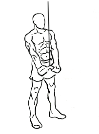 Triceps Pushdown with V Bar and Cable 2
