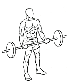 Wide Grip Standing Barbell Curl 4 Wide Grip Standing Barbell Curl 1