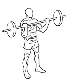 Wide Grip Standing Barbell Curl 5 Wide Grip Standing Barbell Curl 2