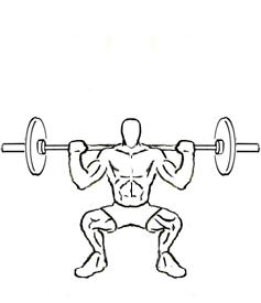 Wide Stance Squat with Barbell 5 Wide Stance Squat with Barbell 1