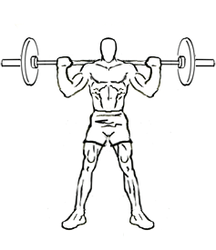 Wide Stance Squat with Barbell 4 Wide Stance Squat with Barbell 2