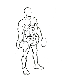 Zottman Curl with Dumbbells 4 zottman curl 1