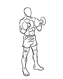 Zottman Curl with Dumbbells 5 zottman curl 2