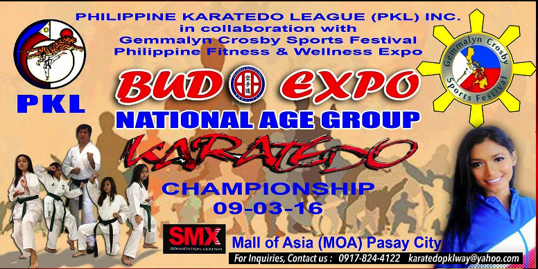 The Philippine Fitness & Wellness Expo 2016 5 karatedo (1)