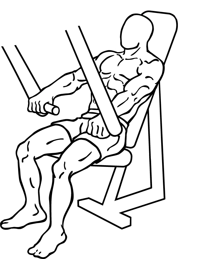 Decline Chest Press 1