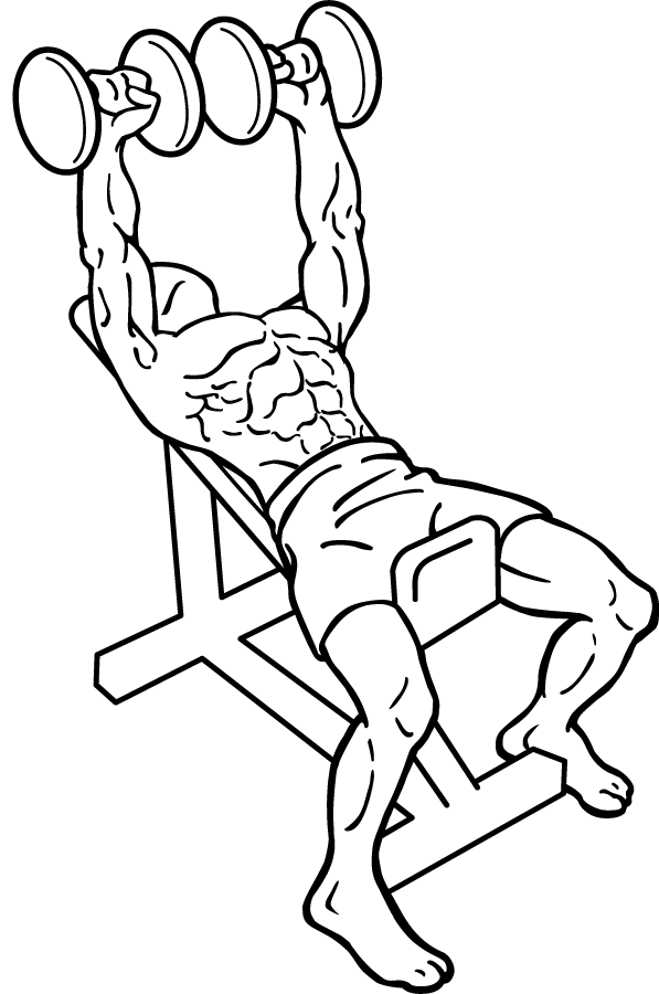 Incline Shoulder Press Dumbbell 3 Incline Shoulder Press Dumbbell