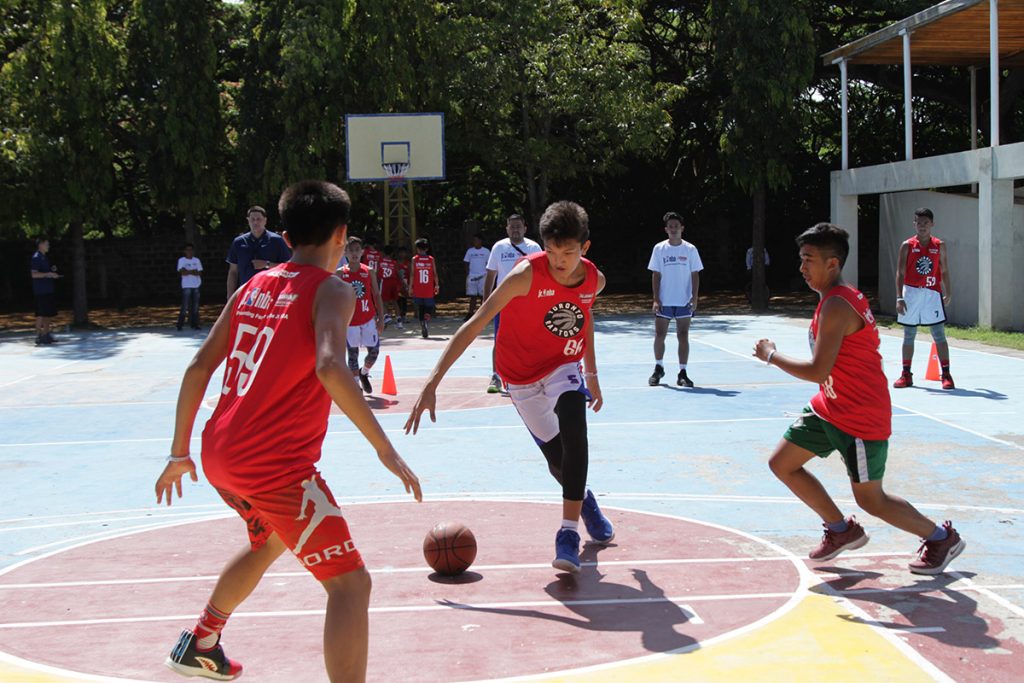 Demisana5 web