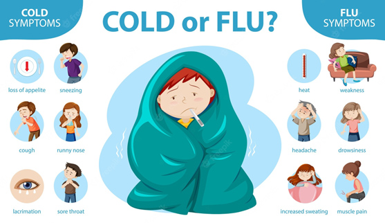 cold or flu