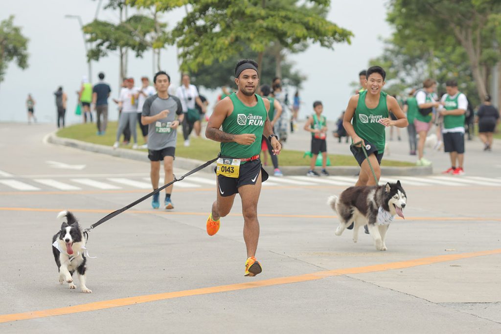 Run for fun, fitness, pets and the environment at Vermosa Green Run 9 Vermosa Green Run: A Fun-Filled Fitness Event for Humans and Canine Companions